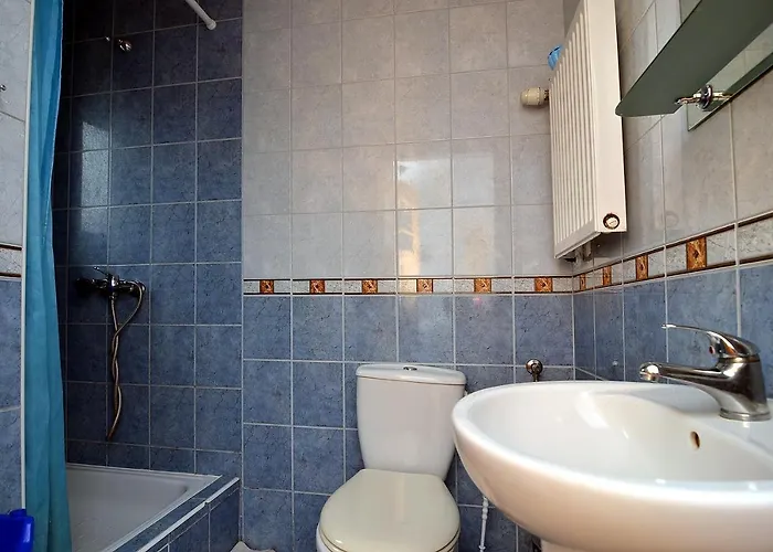 Irena ホームステイ レバル